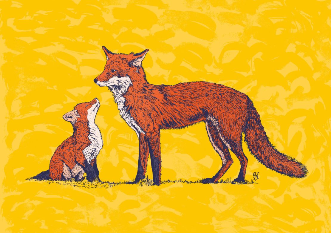 rucni-ilustrace-fox